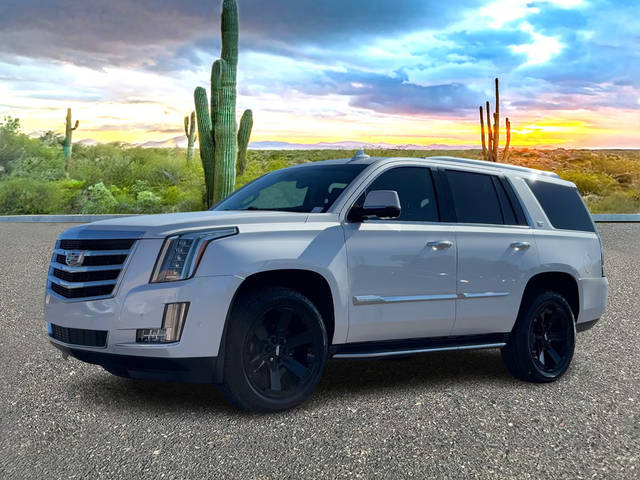 2020 Cadillac Escalade Luxury 4WD photo