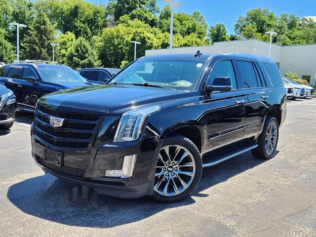 2020 Cadillac Escalade Luxury 4WD photo