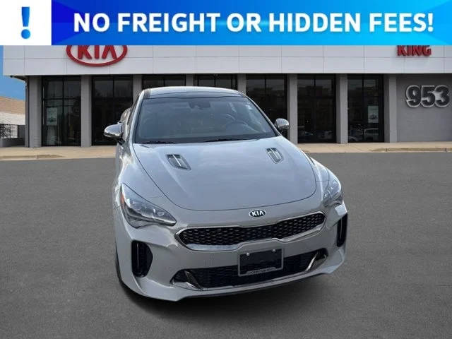 2019 Kia Stinger GT1 AWD photo