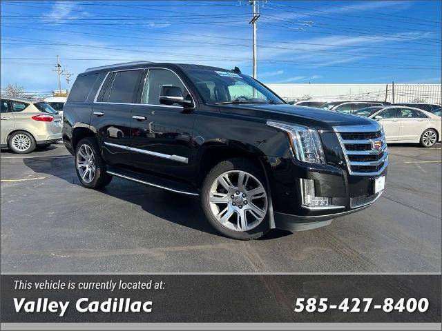 2020 Cadillac Escalade Luxury 4WD photo