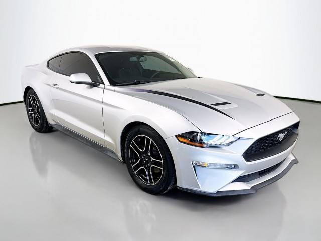 2019 Ford Mustang EcoBoost RWD photo