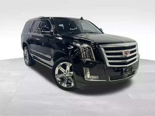 2020 Cadillac Escalade Premium Luxury 4WD photo