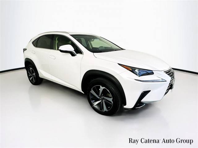 2019 Lexus NX NX 300 AWD photo