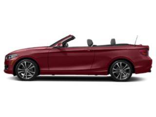 2019 BMW 2 Series 230i RWD photo