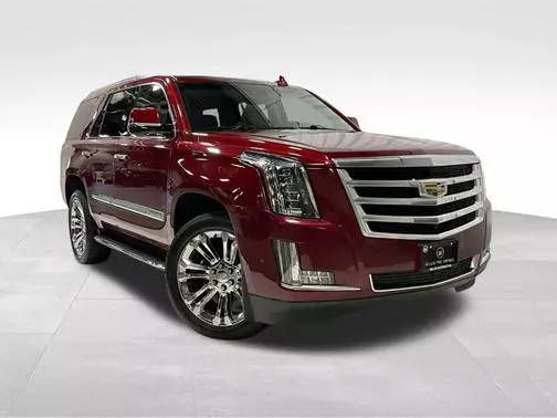 2020 Cadillac Escalade Luxury 4WD photo