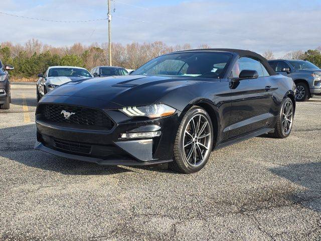 2019 Ford Mustang EcoBoost Premium RWD photo