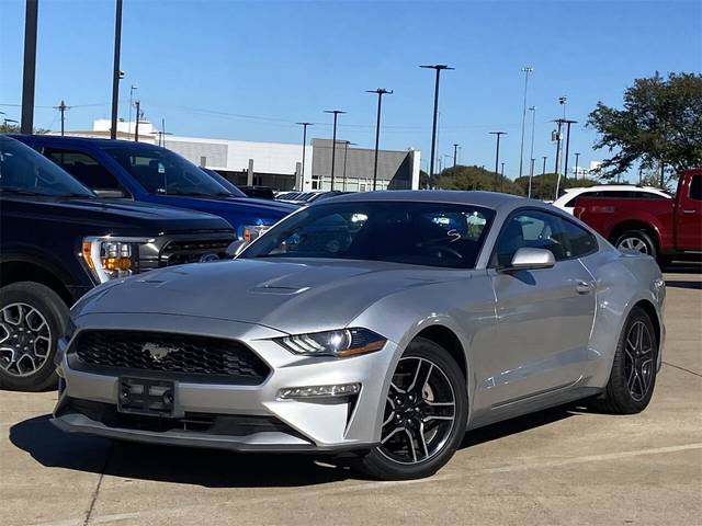 2019 Ford Mustang EcoBoost RWD photo