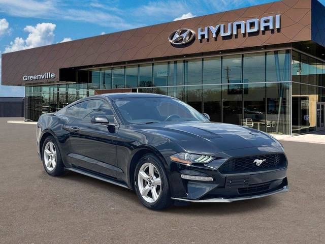 2019 Ford Mustang EcoBoost RWD photo