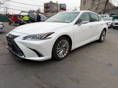 2019 Lexus ES ES 300h Luxury FWD photo