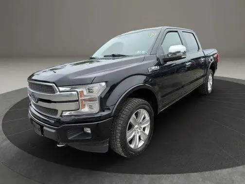 2019 Ford F-150 Platinum 4WD photo
