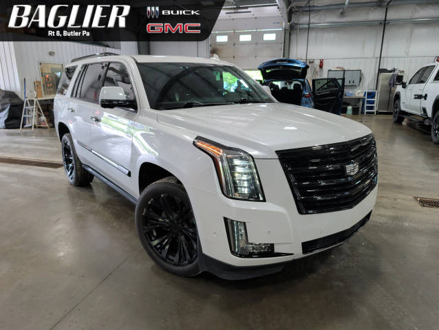 2020 Cadillac Escalade Platinum 4WD photo