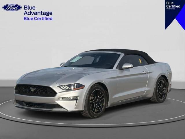 2019 Ford Mustang EcoBoost Premium RWD photo