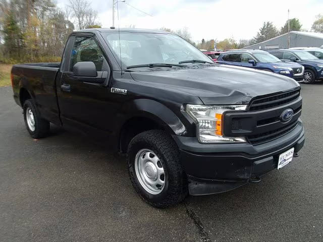 2019 Ford F-150 XL 4WD photo