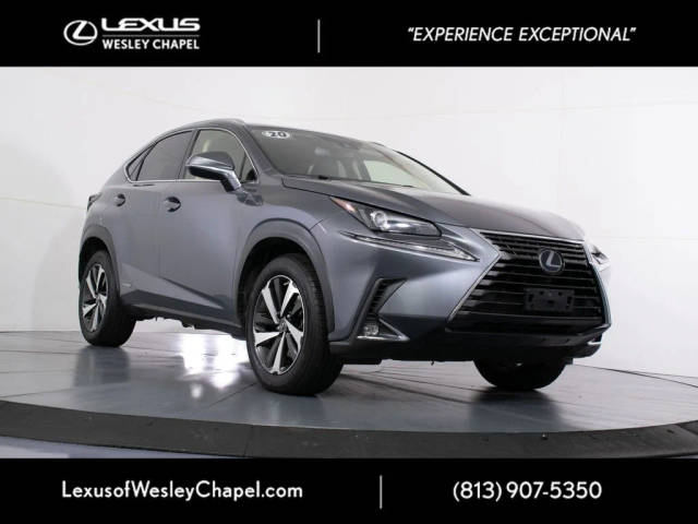 2020 Lexus NX NX 300h AWD photo