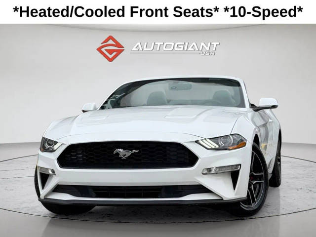 2019 Ford Mustang EcoBoost RWD photo