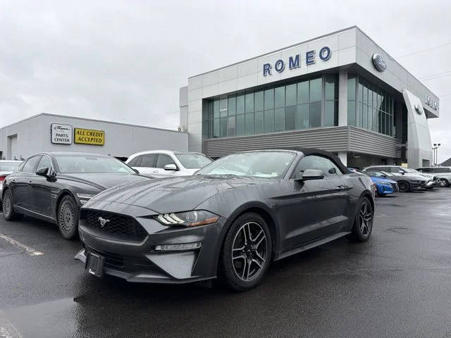 2019 Ford Mustang EcoBoost Premium RWD photo
