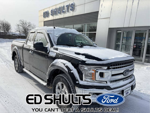 2019 Ford F-150 XLT 4WD photo