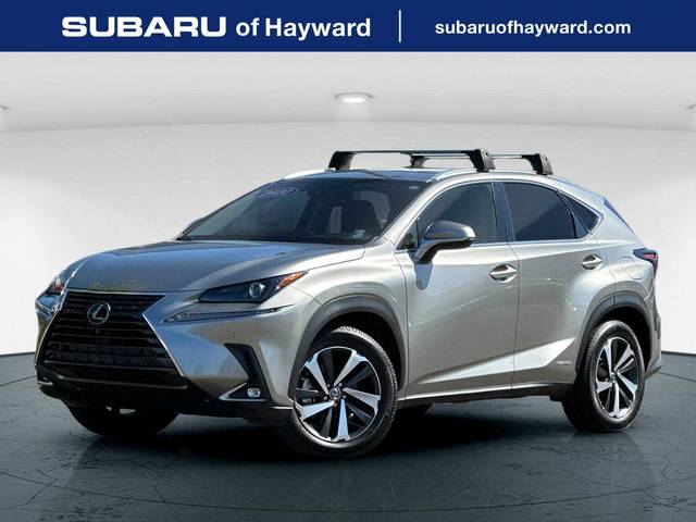 2020 Lexus NX NX 300h AWD photo