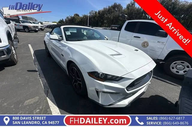 2019 Ford Mustang GT Premium RWD photo