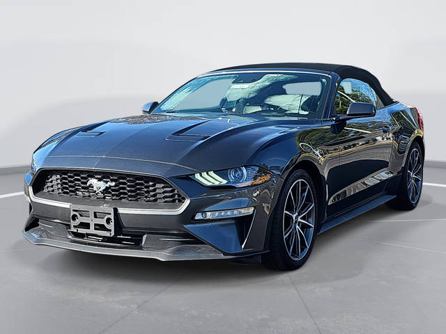 2019 Ford Mustang EcoBoost Premium RWD photo