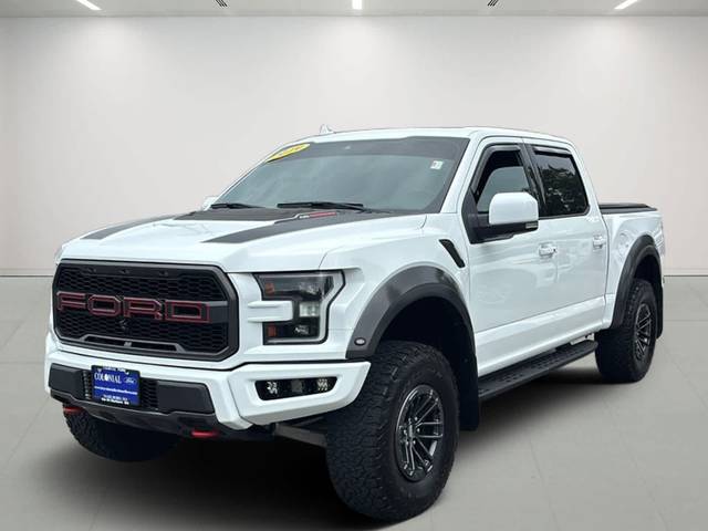2019 Ford F-150 Raptor 4WD photo