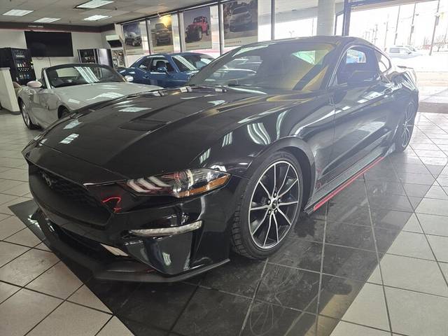 2019 Ford Mustang EcoBoost RWD photo