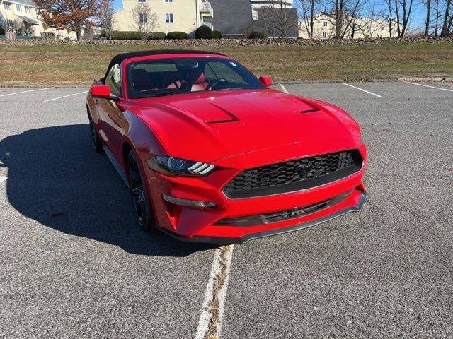 2019 Ford Mustang EcoBoost Premium RWD photo