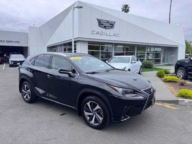 2020 Lexus NX NX 300 AWD photo