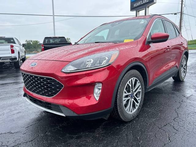 2020 Ford Escape SEL FWD photo