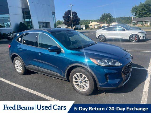 2020 Ford Escape SE AWD photo