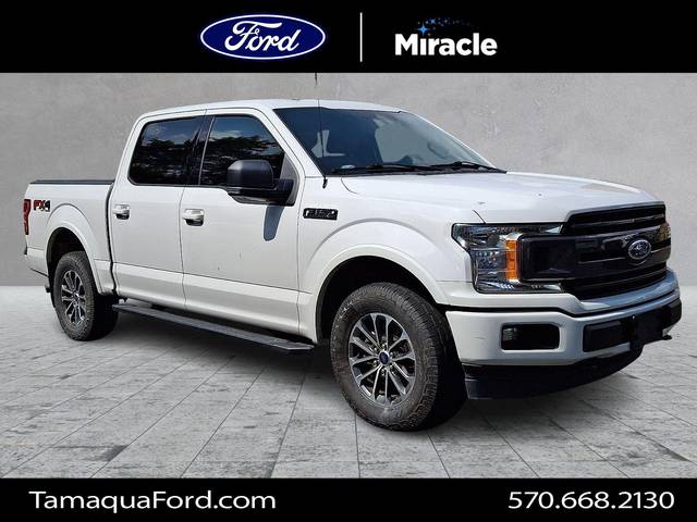 2019 Ford F-150 XLT 4WD photo