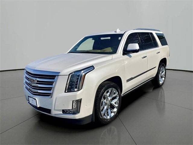 2017 Cadillac Escalade Platinum 4WD photo