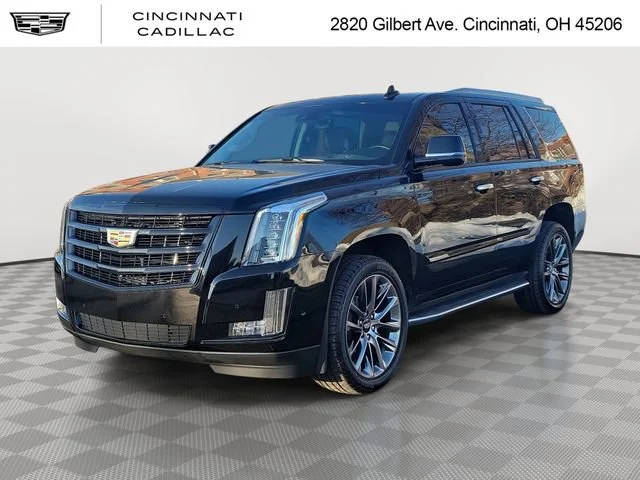 2020 Cadillac Escalade Luxury 4WD photo