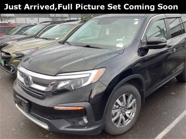 2020 Honda Pilot EX-L AWD photo