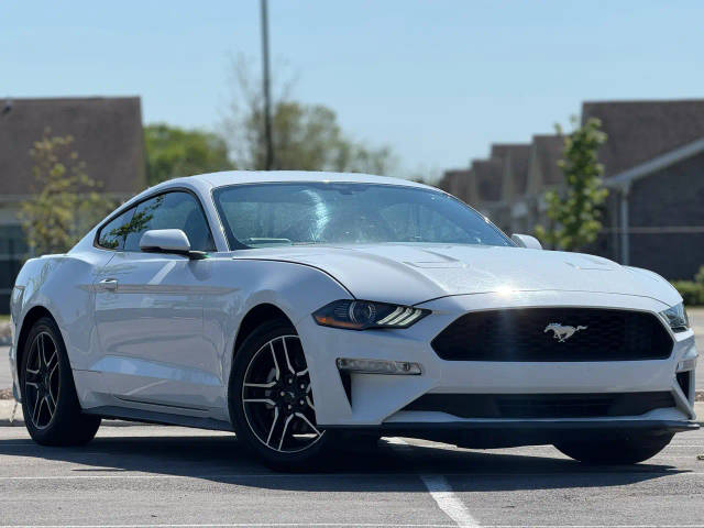 2019 Ford Mustang EcoBoost RWD photo