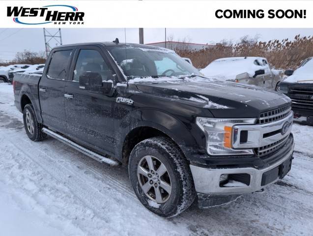 2019 Ford F-150 XLT 4WD photo