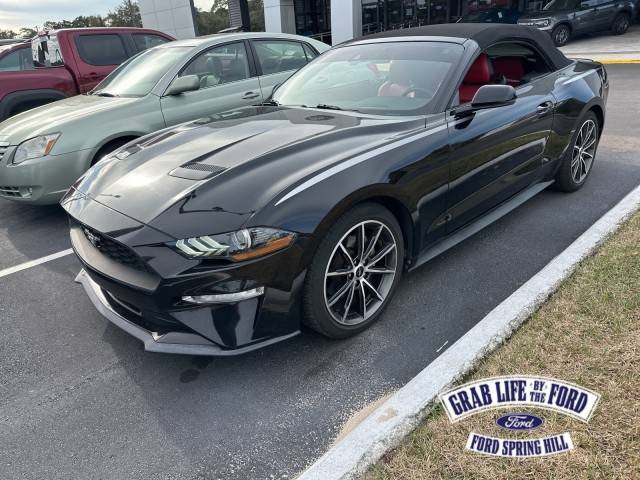 2019 Ford Mustang EcoBoost Premium RWD photo