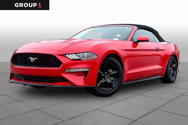 2019 Ford Mustang EcoBoost RWD photo