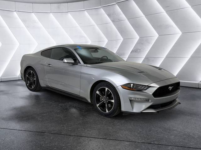 2020 Ford Mustang EcoBoost RWD photo