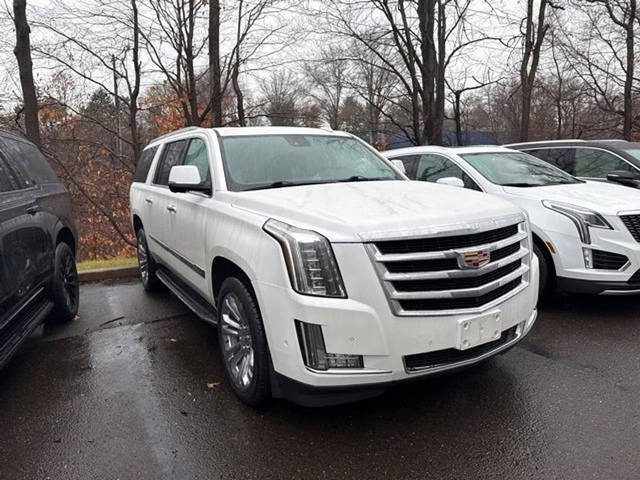 2020 Cadillac Escalade ESV Luxury 4WD photo