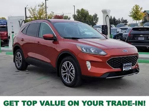 2020 Ford Escape SEL AWD photo