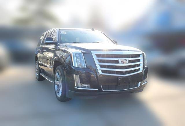 2019 Cadillac Escalade Luxury 4WD photo