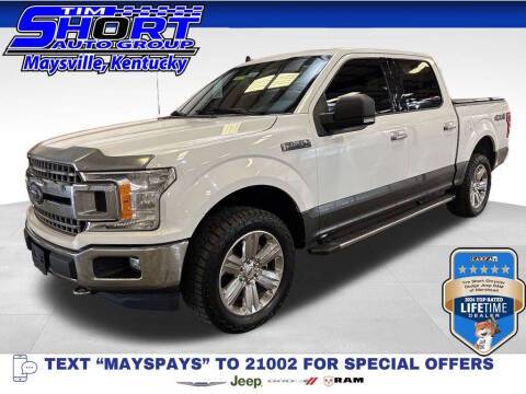 2020 Ford F-150 XLT 4WD photo