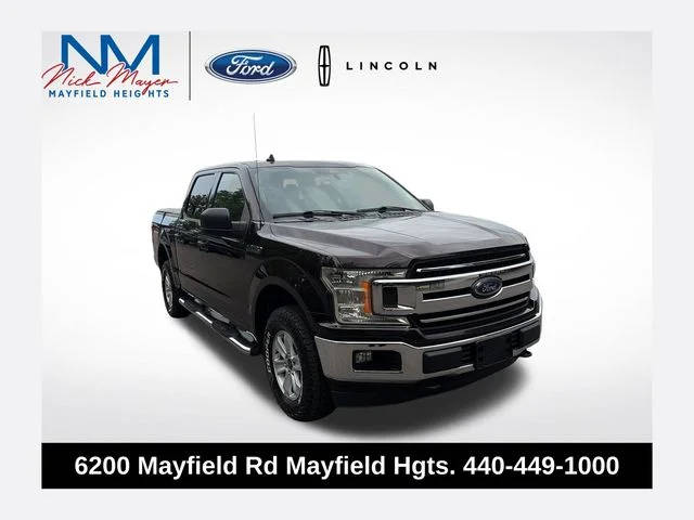 2019 Ford F-150 XLT 4WD photo