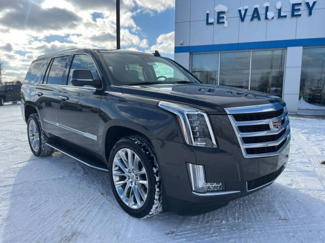 2020 Cadillac Escalade Luxury 4WD photo