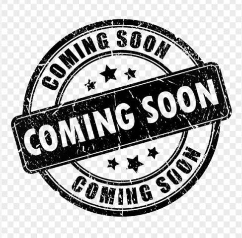 2020 Ford EcoSport Titanium 4WD photo