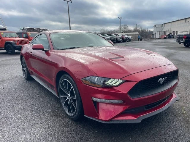 2020 Ford Mustang EcoBoost RWD photo