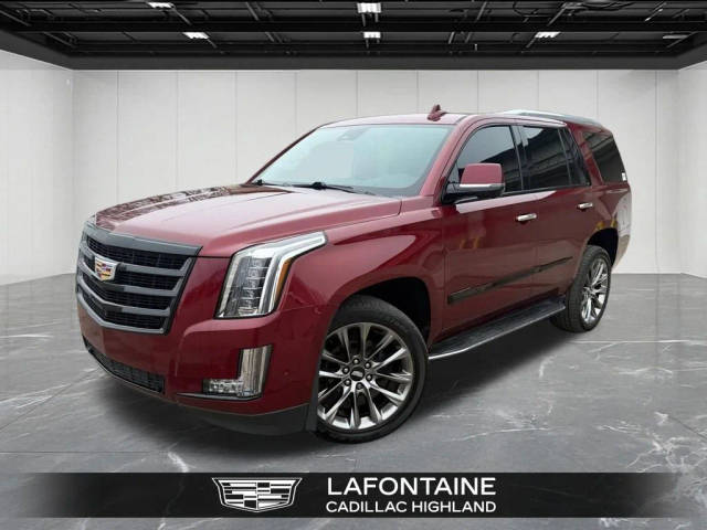 2020 Cadillac Escalade Luxury 4WD photo