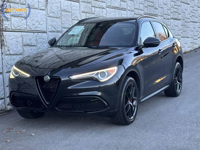 2020 Alfa Romeo Stelvio  RWD photo