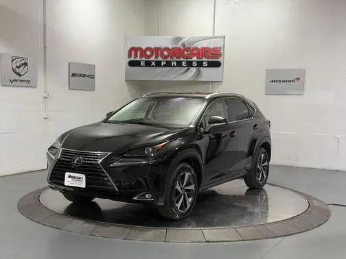 2020 Lexus NX NX 300h AWD photo
